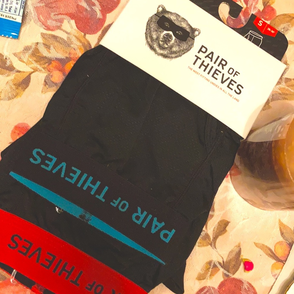Pair of thieves briefs (s)